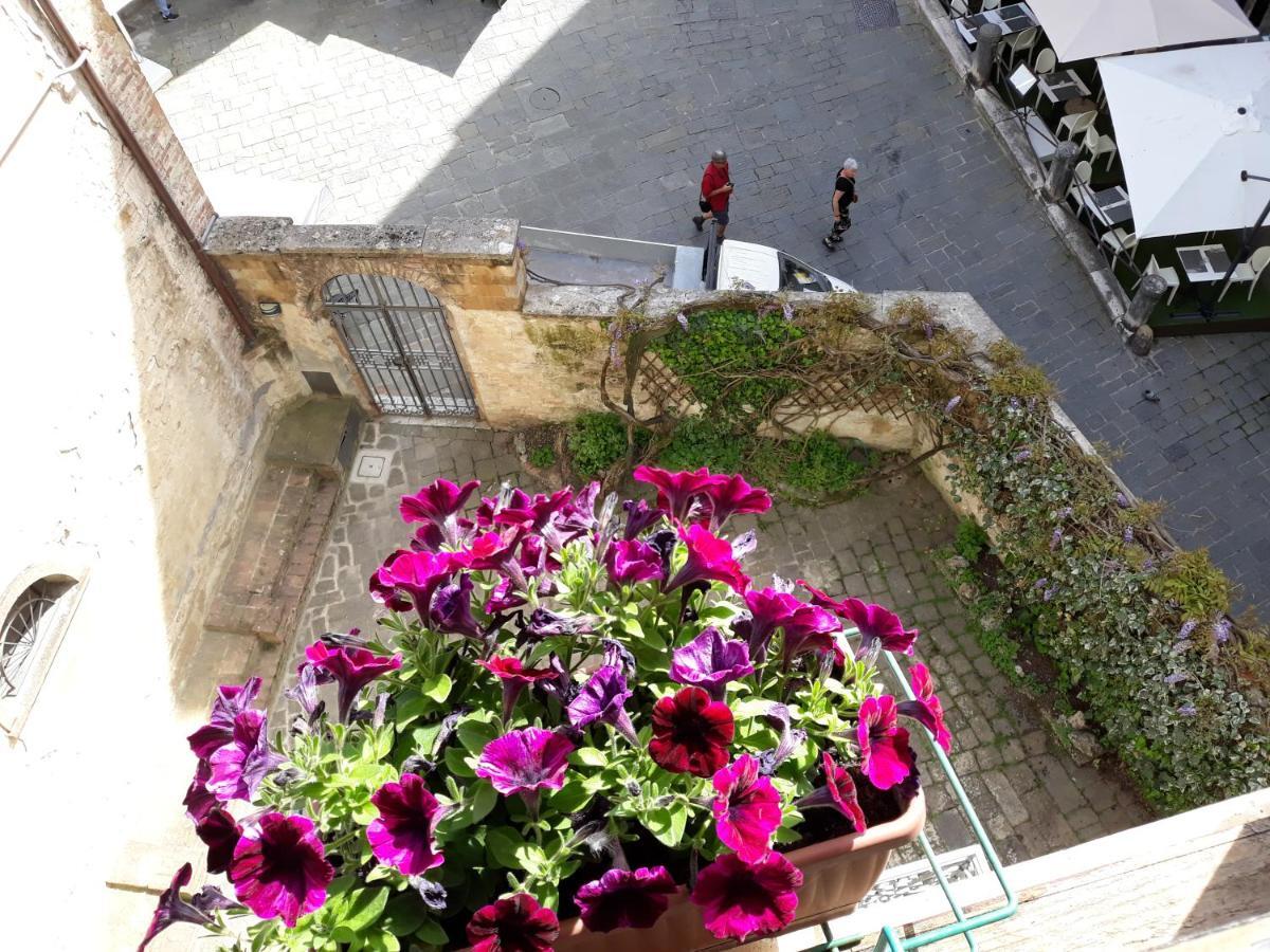 B&B Simonetta เซียนา ภายนอก รูปภาพ